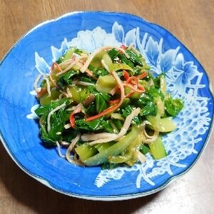 電子レンジで☆チンゲン菜ナムル